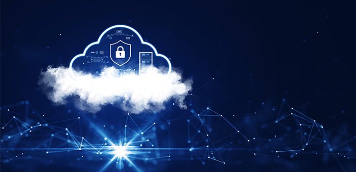Cloud Network Security